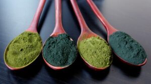 Cuatro cucharas de madera con polvo verde de espirulina y clorela sobre mesa oscura