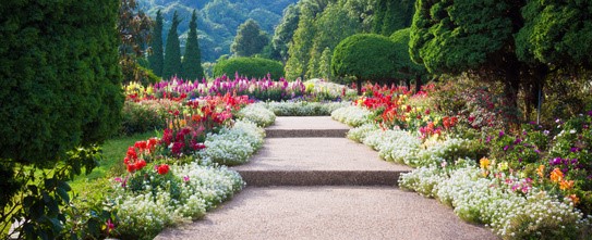 Camino de jardín rodeado de flores blancas, rojas y coloridas entre setos y árboles verdes