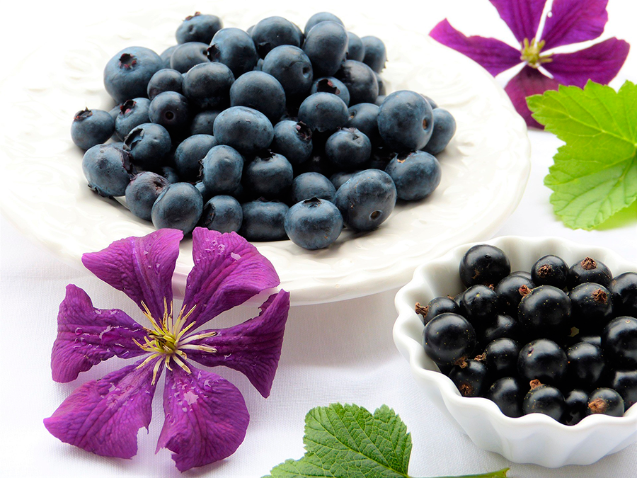 Arándanos en plato blanco y grosellas negras en cuenco con flores moradas y hojas verdes
