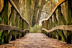Puente de madera con barandillas en un bosque otoñal, ideal para caminar y hacer deporte al aire libre