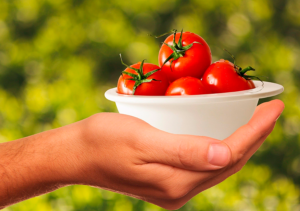 Mano sosteniendo un cuenco blanco con tomates rojos frescos sobre fondo verde natural