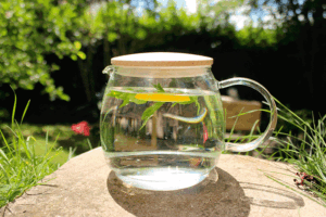 Tetera de cristal con tapa de bambú, agua, hojas de menta y limón sobre una piedra en el jardín