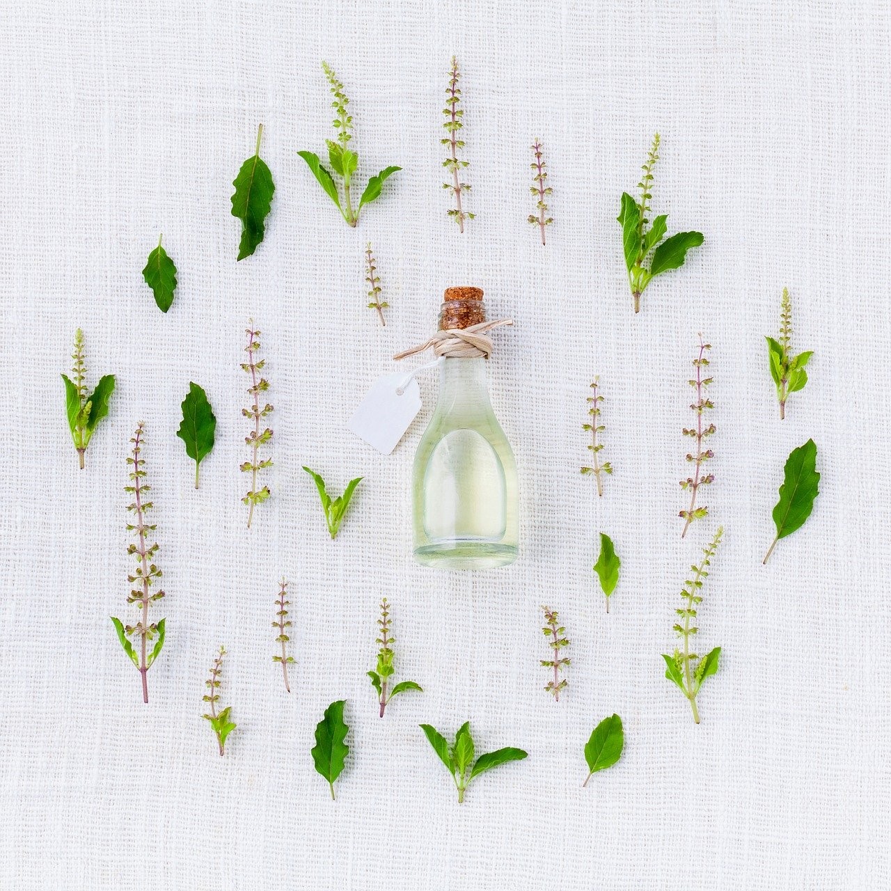 Botella de aceite esencial con etiqueta rodeada de hojas y flores de albahaca sobre tela blanca