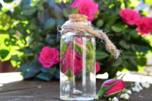 Frasco de vidrio con tapón de corcho y capullos de rosa en agua sobre madera, con rosas de fondo