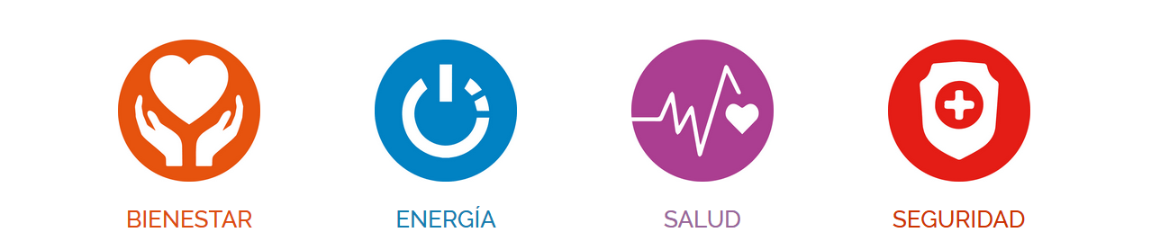 Iconos de bienestar, energía, salud y seguridad en círculos de colores