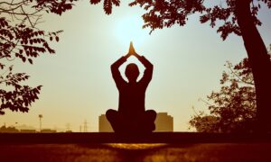 Silueta de persona meditando en postura de yoga con manos juntas al atardecer bajo un árbol