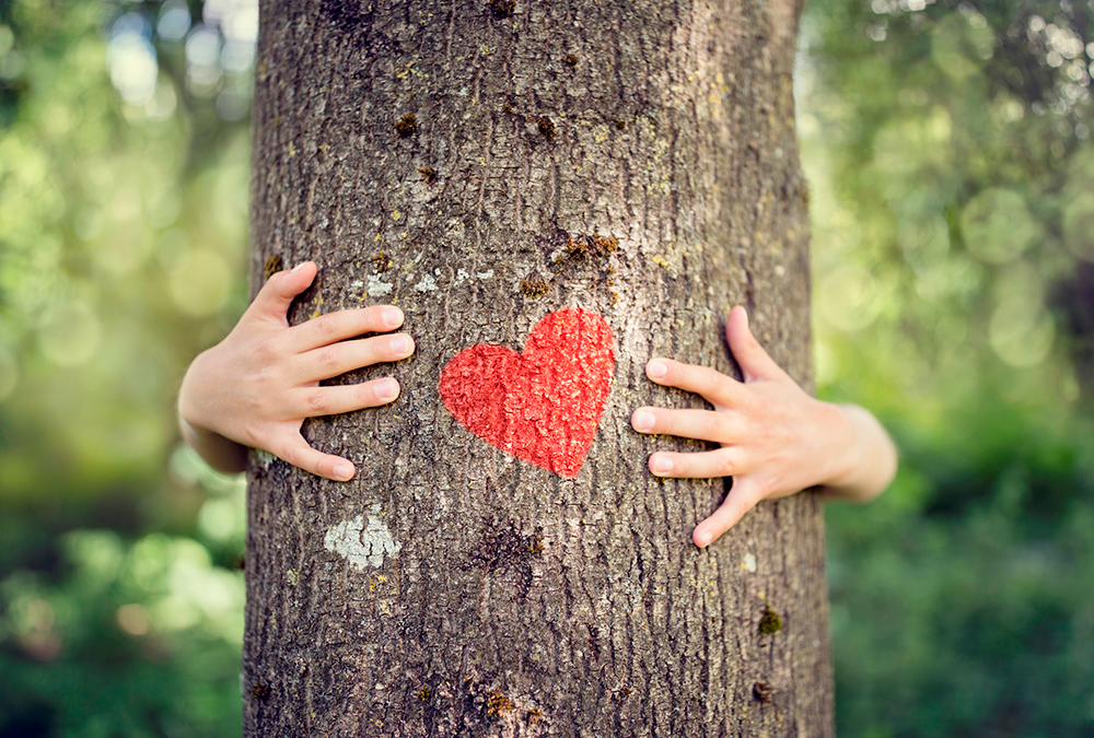 Abraza un árbol y llénate de energía positiva - Derbós, Laboratorio natural
