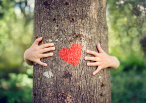 Manos de niño abrazando el tronco de un árbol con un corazón rojo pintado en la corteza