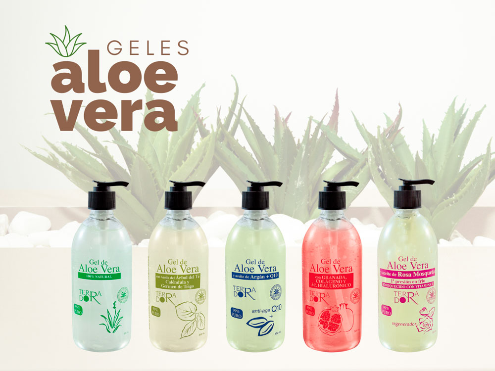 Aloe Vera: la planta que no puede faltar en tu hogar