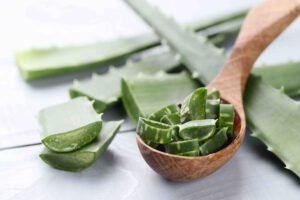 Aloe Vera: la planta que no puede faltar en tu hogar