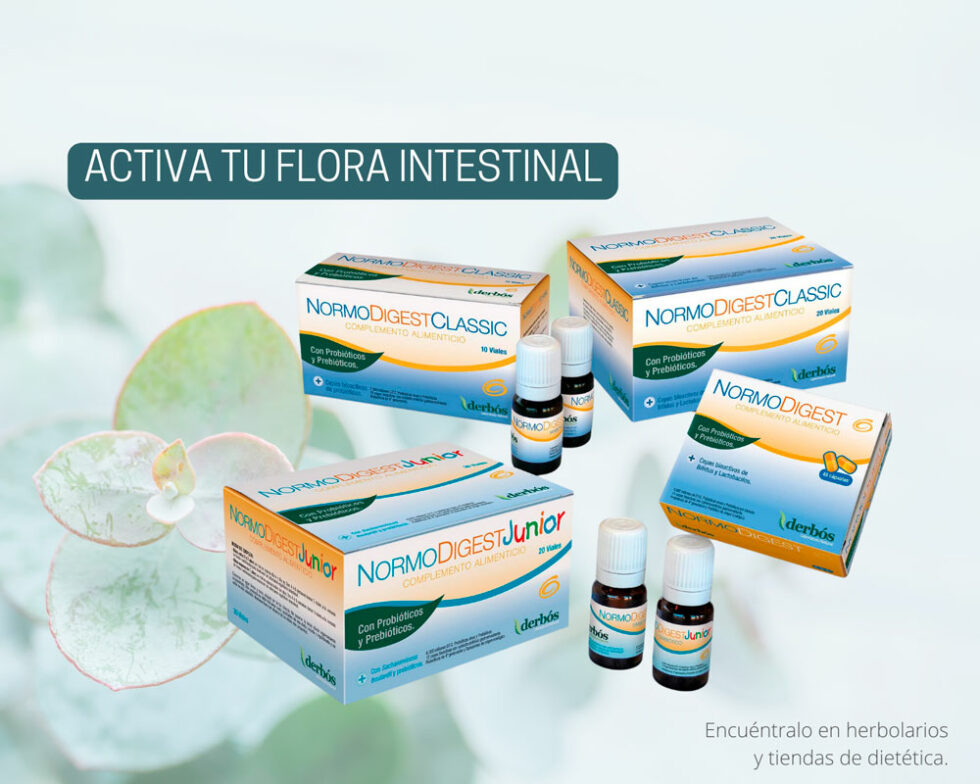 Cómo Cuidar Tu Salud Digestiva De Forma Natural 3015