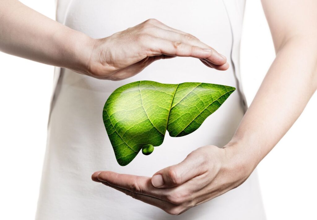 El hígado filtra y metaboliza las toxinas