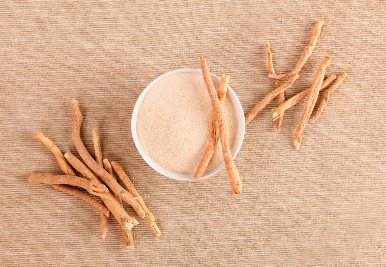 Raíces secas de ashwagandha y cuenco blanco con polvo de Withania somnifera sobre fondo beige