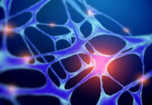 Representación de células y conexiones que ilustra la producción de energía celular y la acción antioxidante de la coenzima Q10