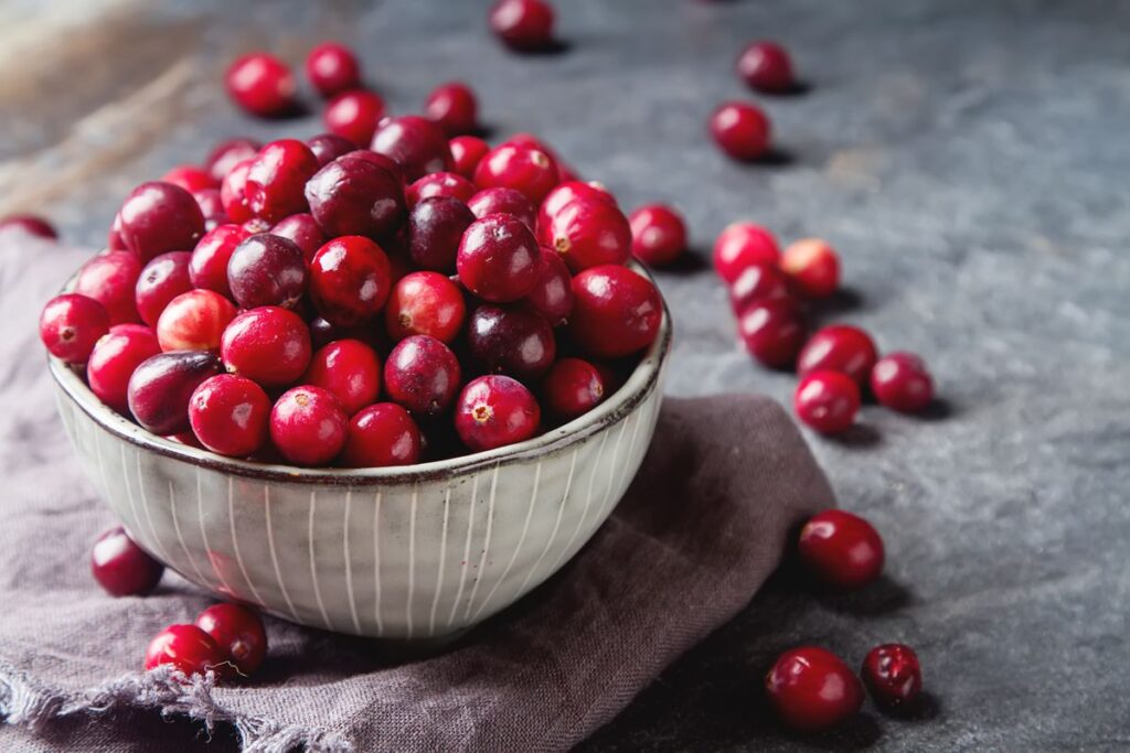 Cuenco de cranberry o arándano rojo americano para el bienestar urinario
